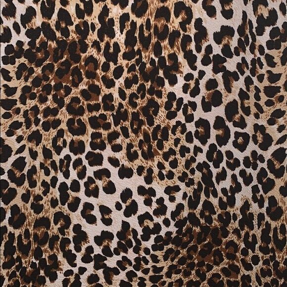 Dress   - Picture 4 of 6